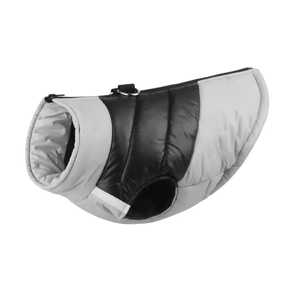 Waterproof padded dog winter coat with front zipper in multiple colours for small to large dogs