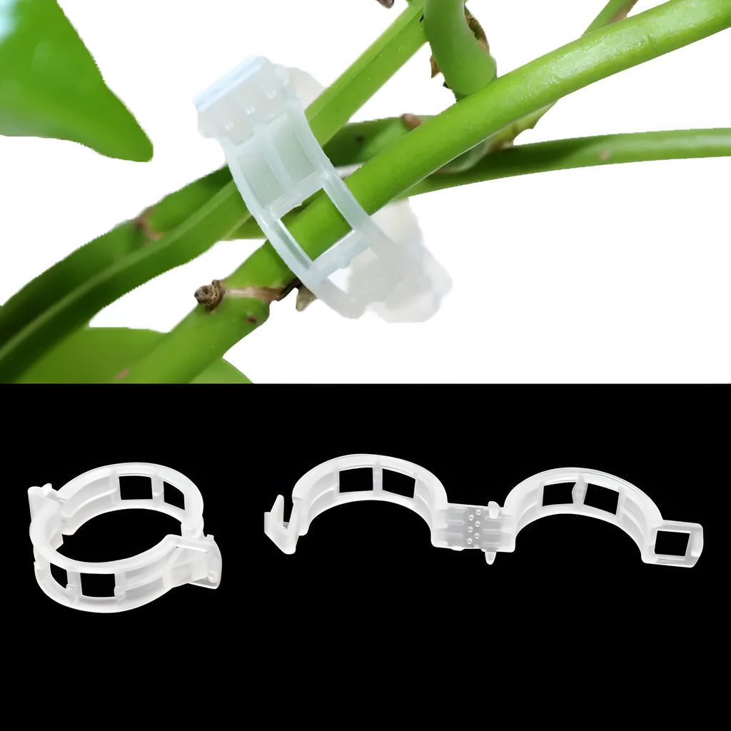 A pack of 50 green plastic garden plant grafting clips for securing tomato stems and tree twigs.