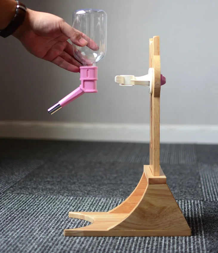 Cat drinking water dispenser with 300ml plastic container on bamboo holder