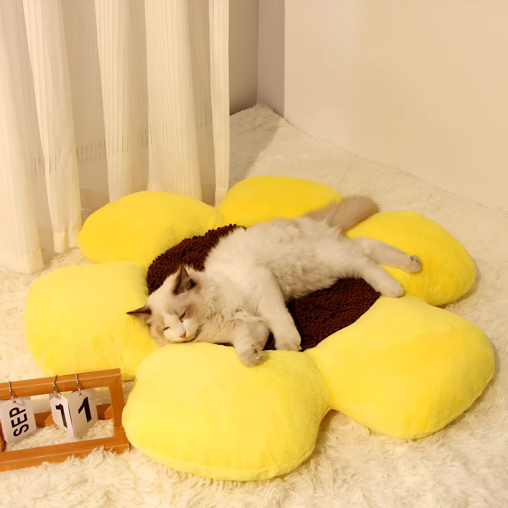 Round blue cat bed with high plush walls and soft filling, shown on a wooden floor.