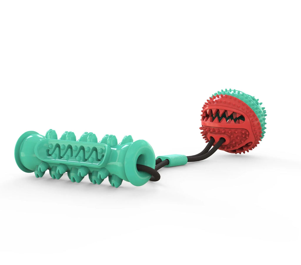 Pet toy pull rope training ball with 8.5cm diameter ball and 12cm molar stick on grass