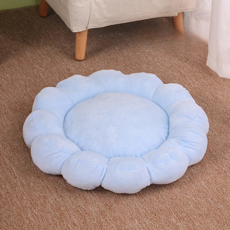 50x50cm half-surrounded pet bed in plush fabric showing blue colour option