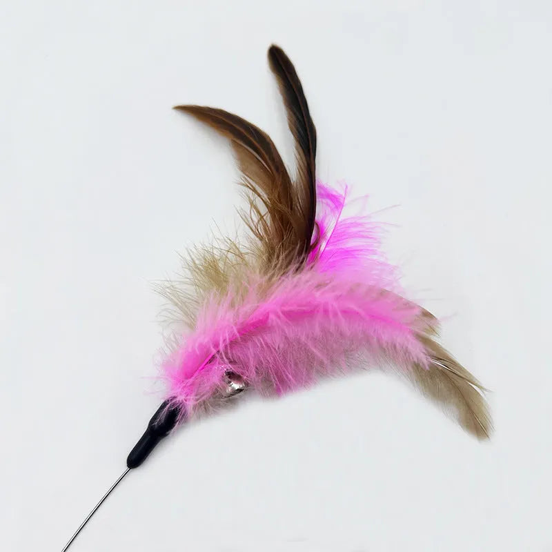 Adjustable cat collar toy with feather and bell attachments on steel wire teaser