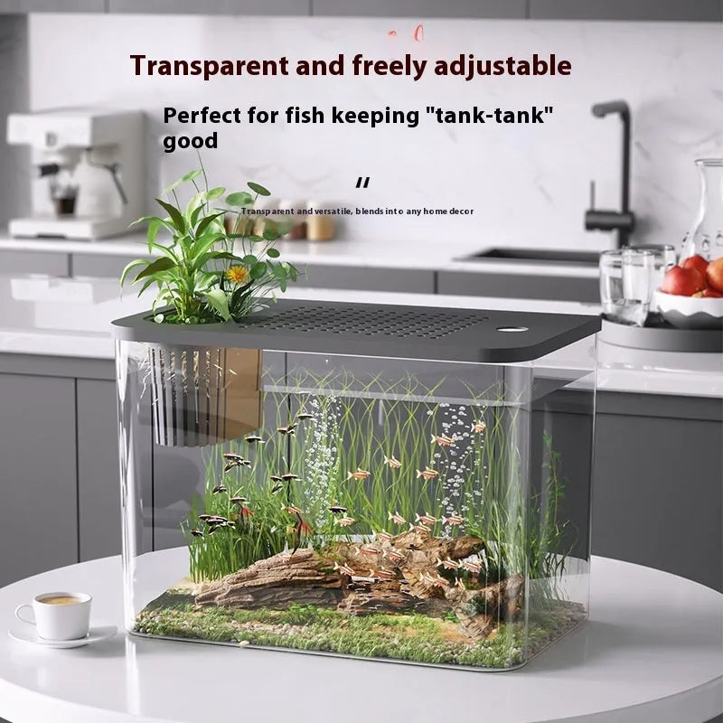 Black Ecological Betta Tank with clear plastic cover on a wooden table.