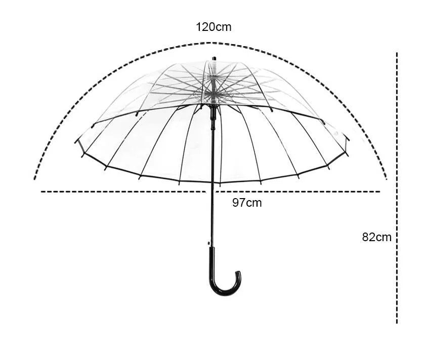 Transparent umbrella with long handle showing 16-rib construction and black steel frame