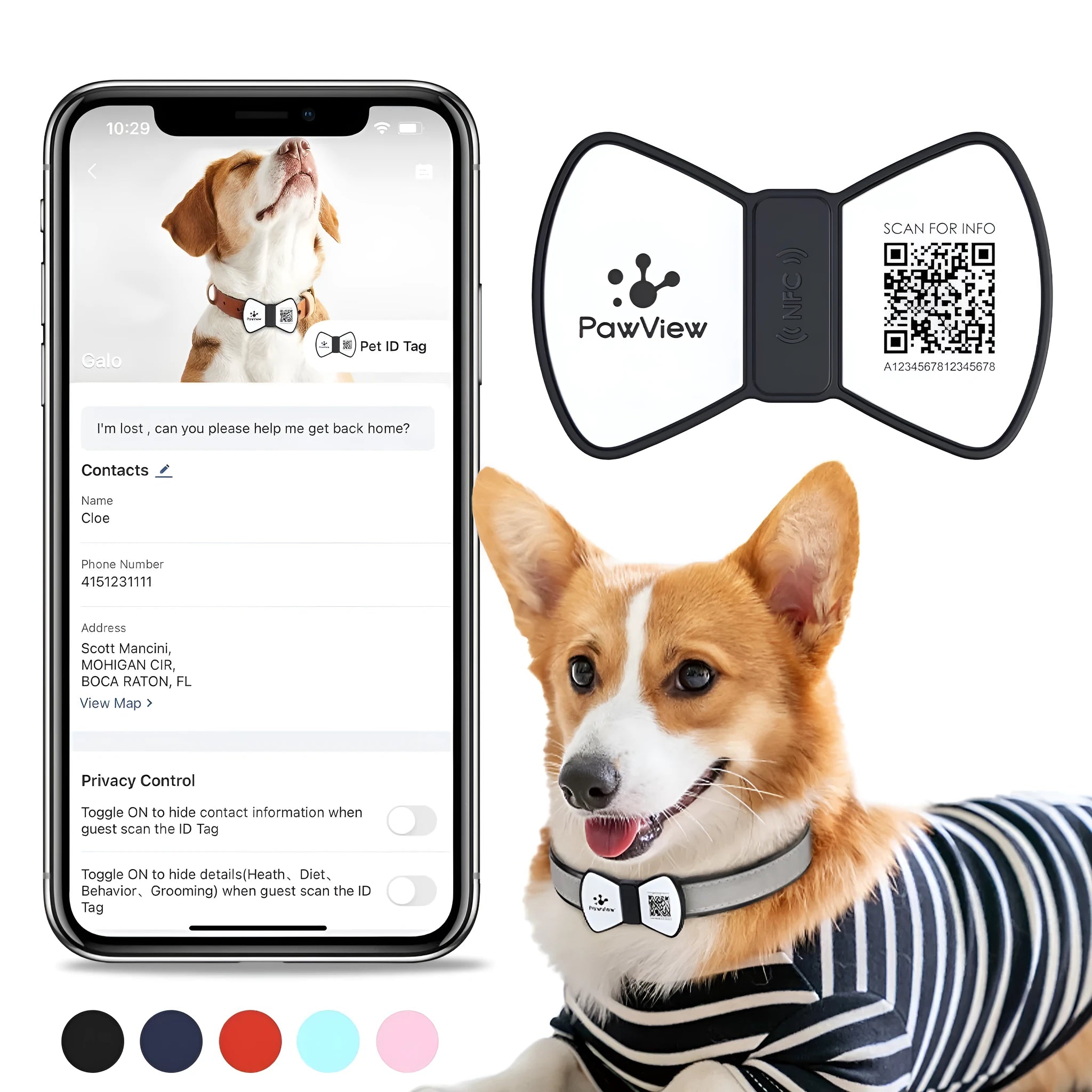 NFC smart QR code silicone pet tag with bowknot in black, blue, pink, red on dog collar