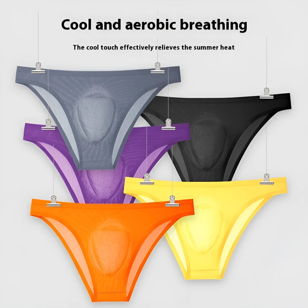 Ultra-thin ice silk seamless briefs in six colours on size chart background