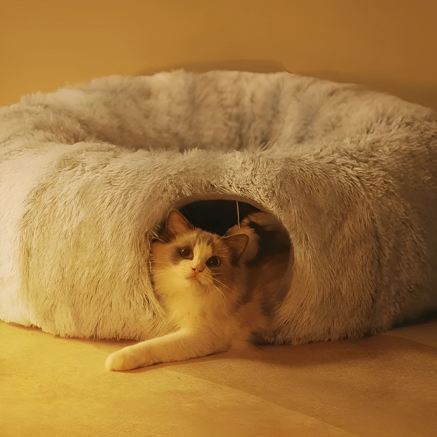 Closed cat tunnel plush nest in rainbow colour, 95cm diameter for multiple cats