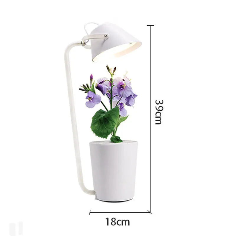White plastic desktop hydroponic growing system for soilless indoor plant cultivation.