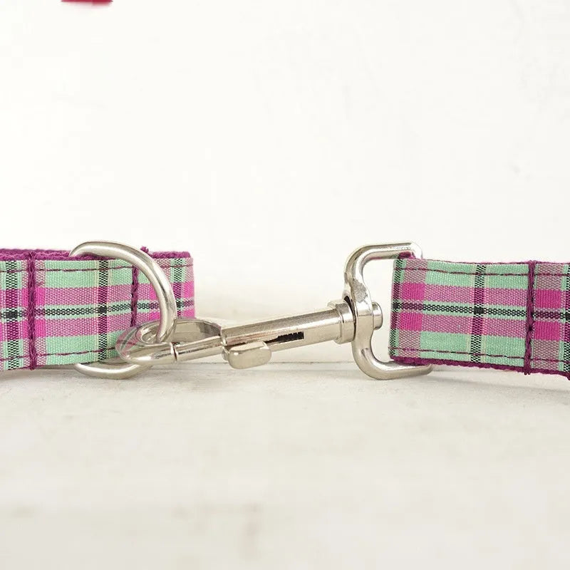 Mint green dog collar and matching leash made from tear-resistant polyester.