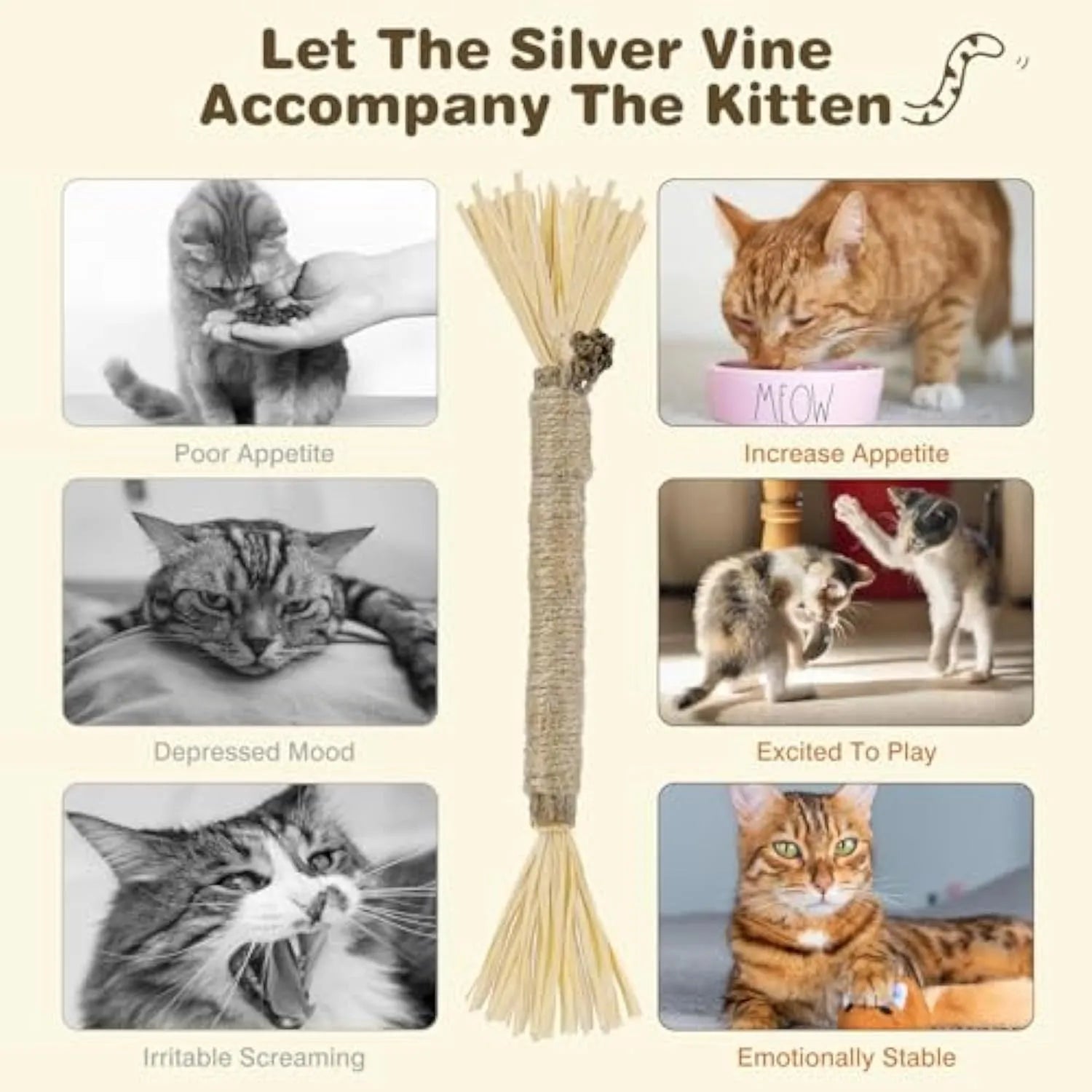 Three natural silvervine chew sticks for cats on a wooden surface.