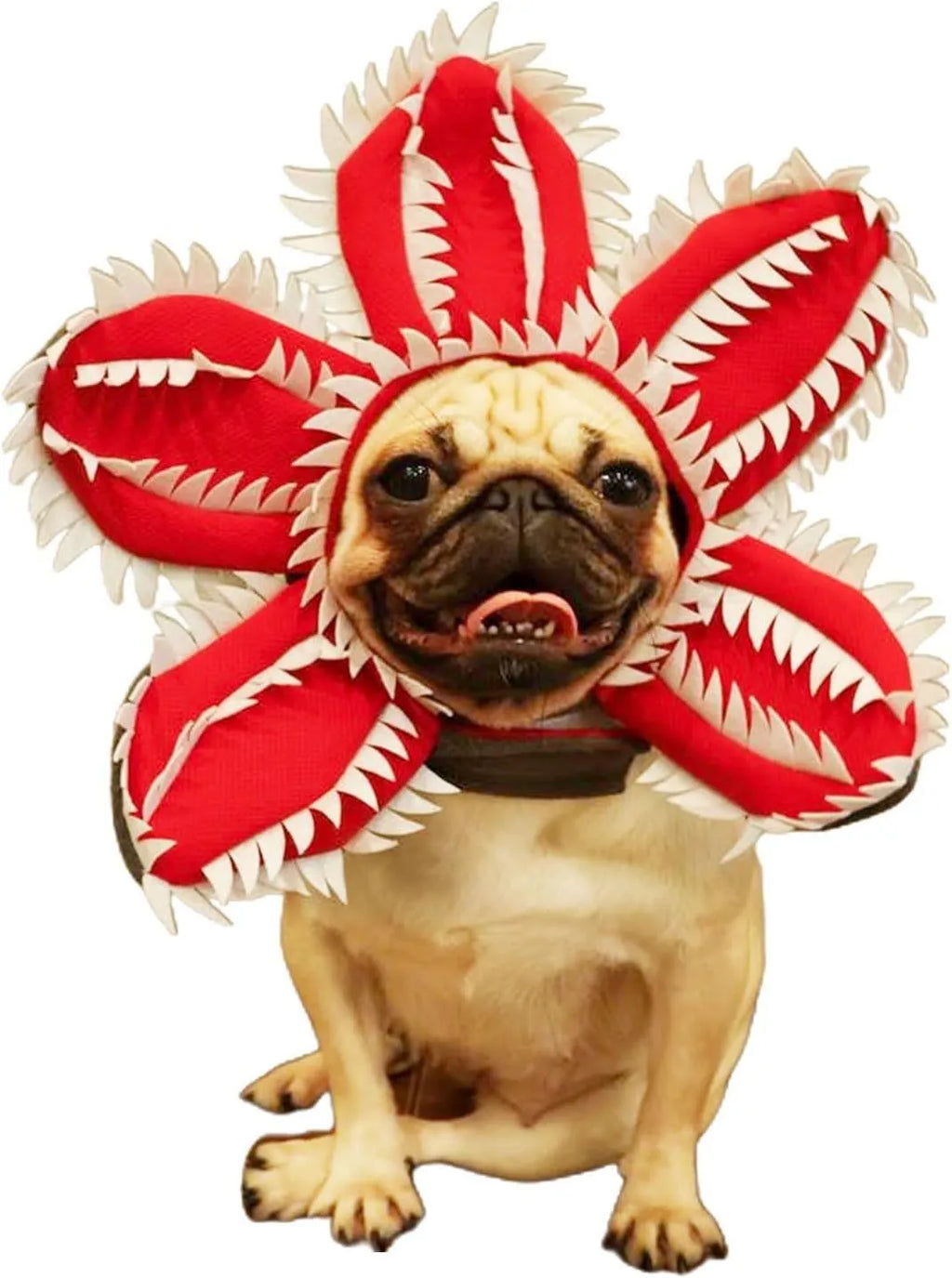Medium dog demon horn costume headband with black plastic horns and red flower for Halloween