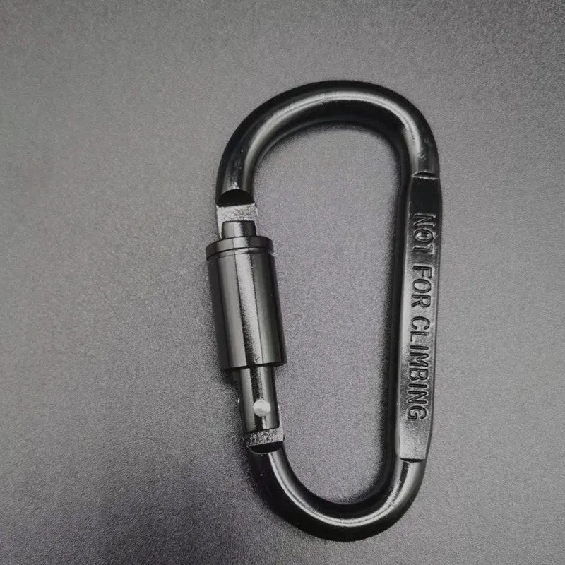 Silver D-shaped aluminium locking carabiner on a grey background.
