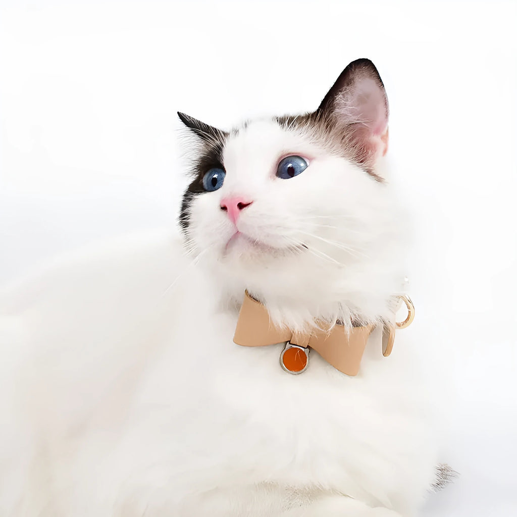 Leather cat collar in six colour options showing adjustable free-size design for feline pets