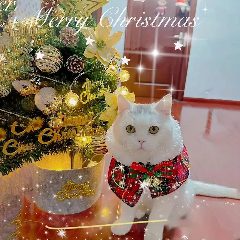 Red festive dog scarf with bell pattern fastened around a small dog's neck in winter.
