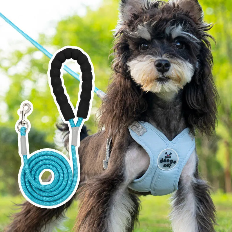 A blue dog vest with an integrated back handle and an attached matching leash rope.
