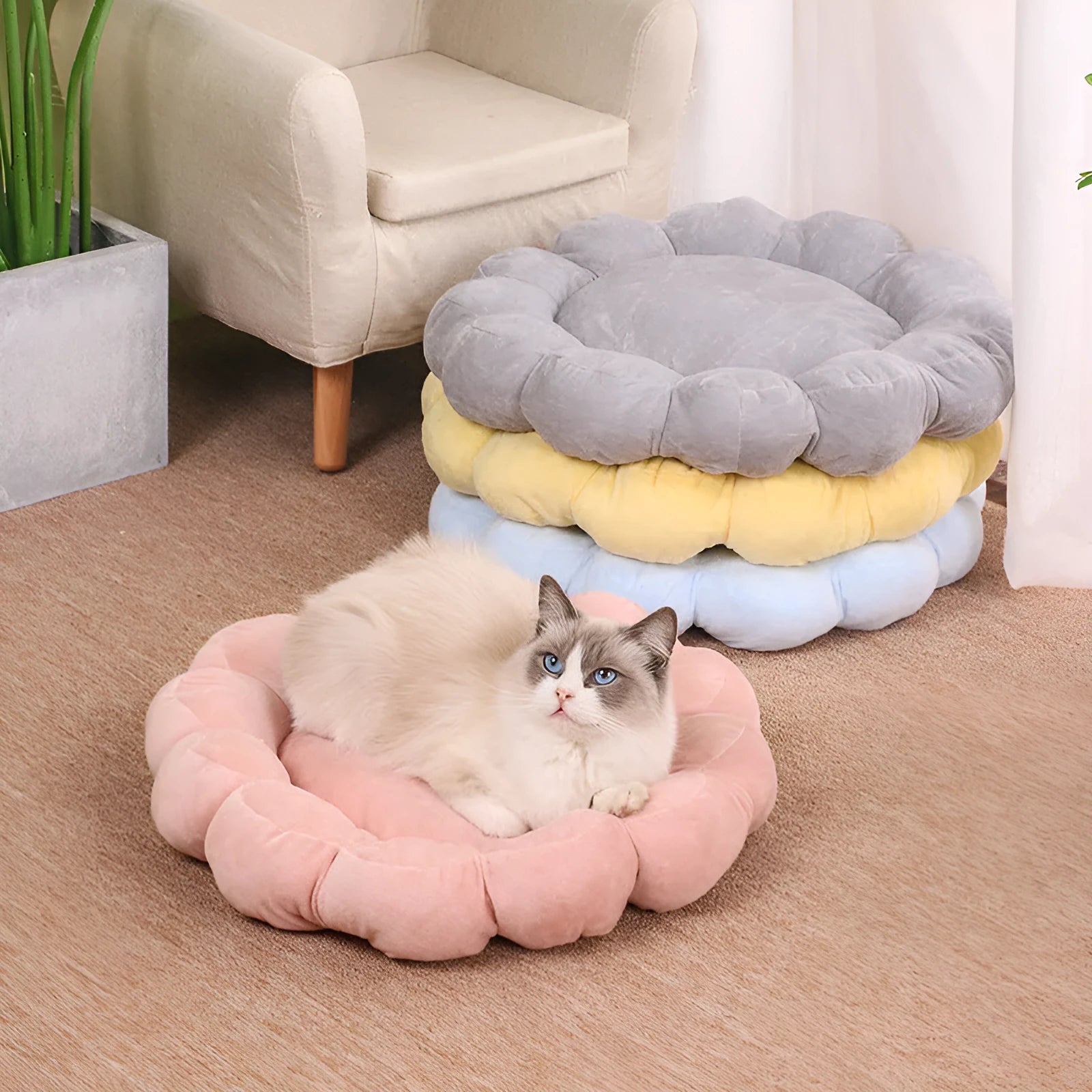 50x50cm half-surrounded pet bed in plush fabric showing blue colour option