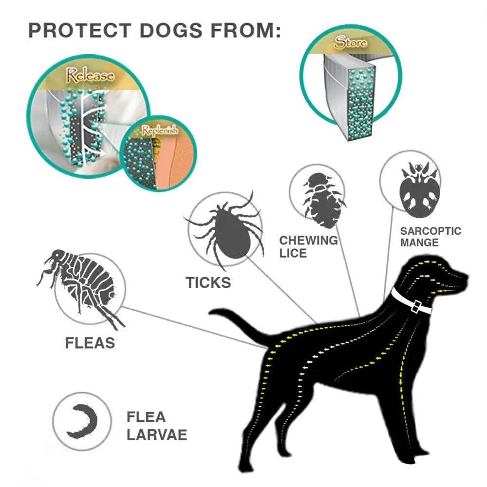 Gray plastic waterproof adjustable insect repellent collar 70cm for flea and tick removal on pet