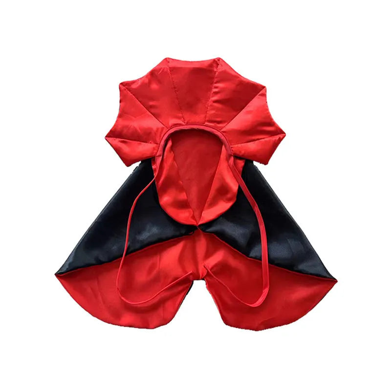 Halloween pet costume with bat-wing cloak and pointed hat on small dog