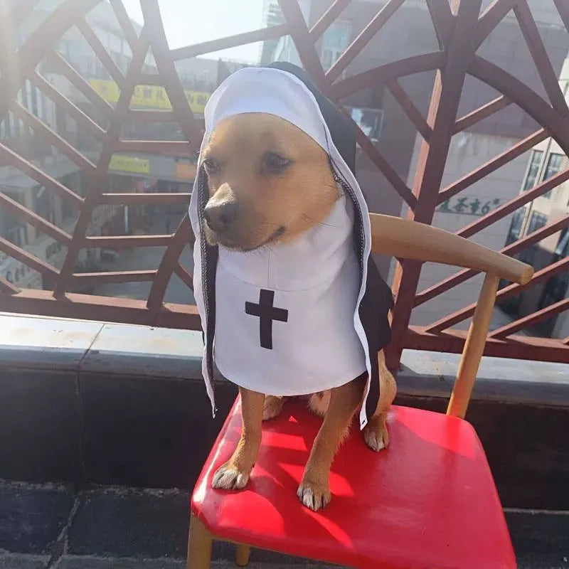 Black and white nun costume for small medium dogs with cloak design