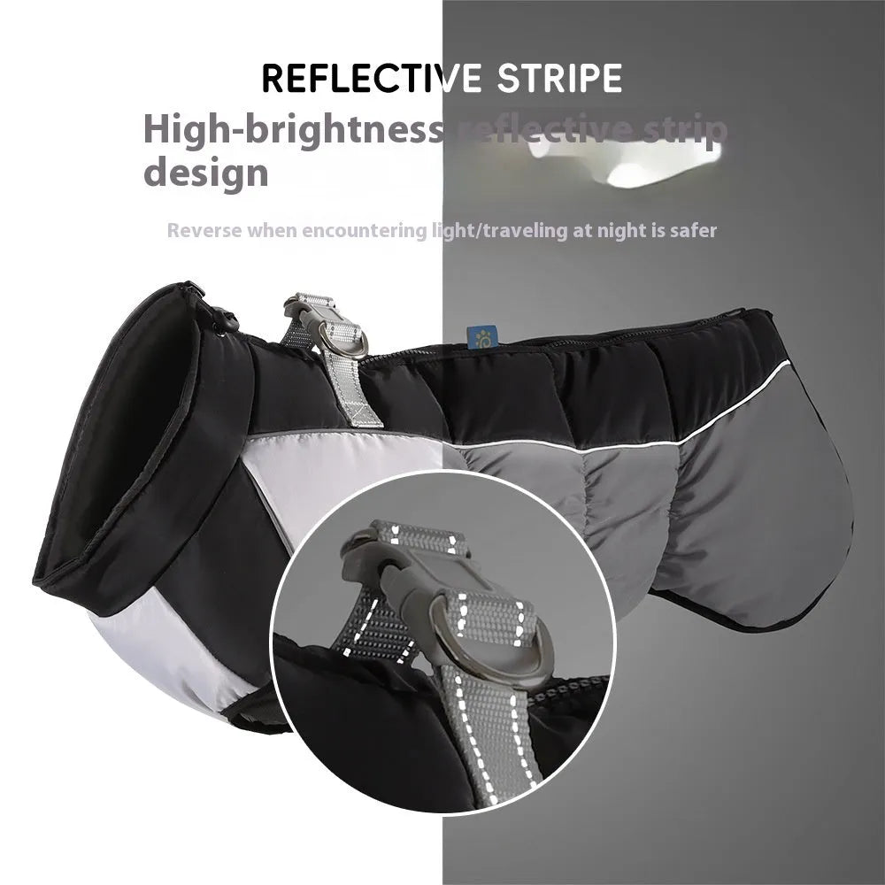 Large dog wearing reflective waterproof winter coat in polar fleece material