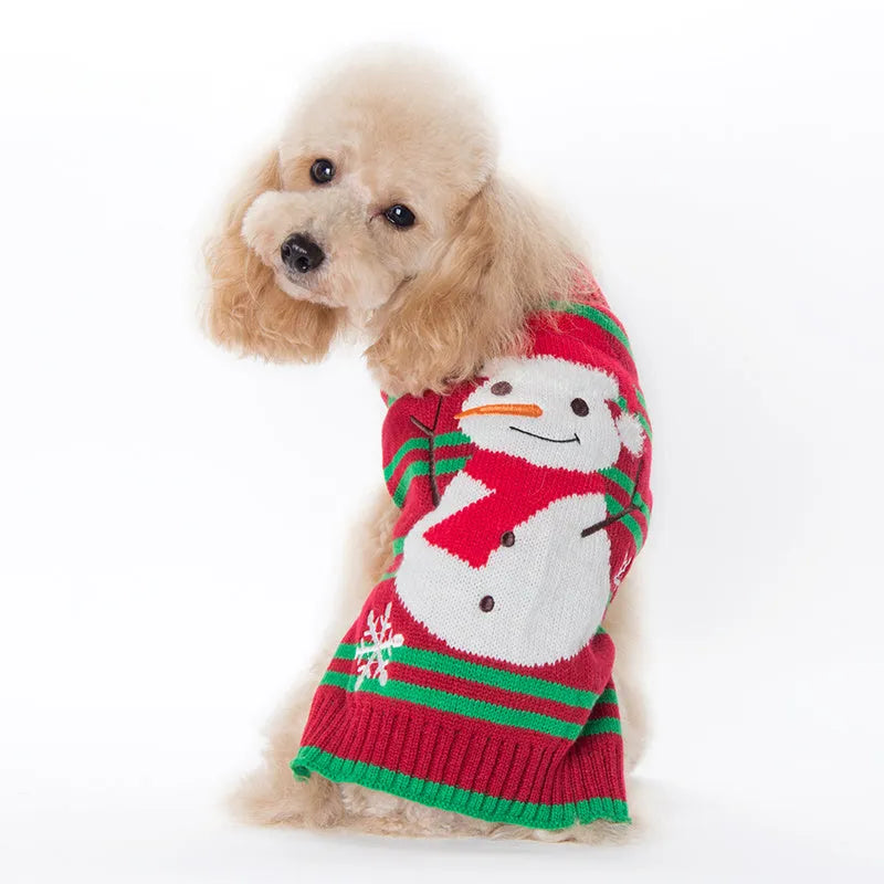 Small grey dog wearing a black Christmas sweater with white pompom and reindeer pattern