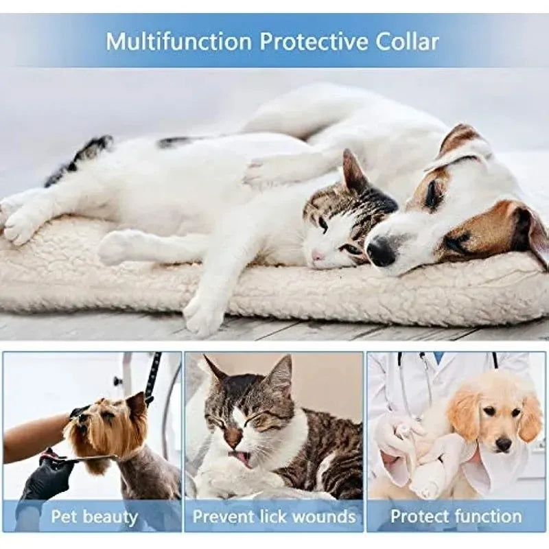 Blue inflatable recovery collar for dogs and cats with size chart showing measurements