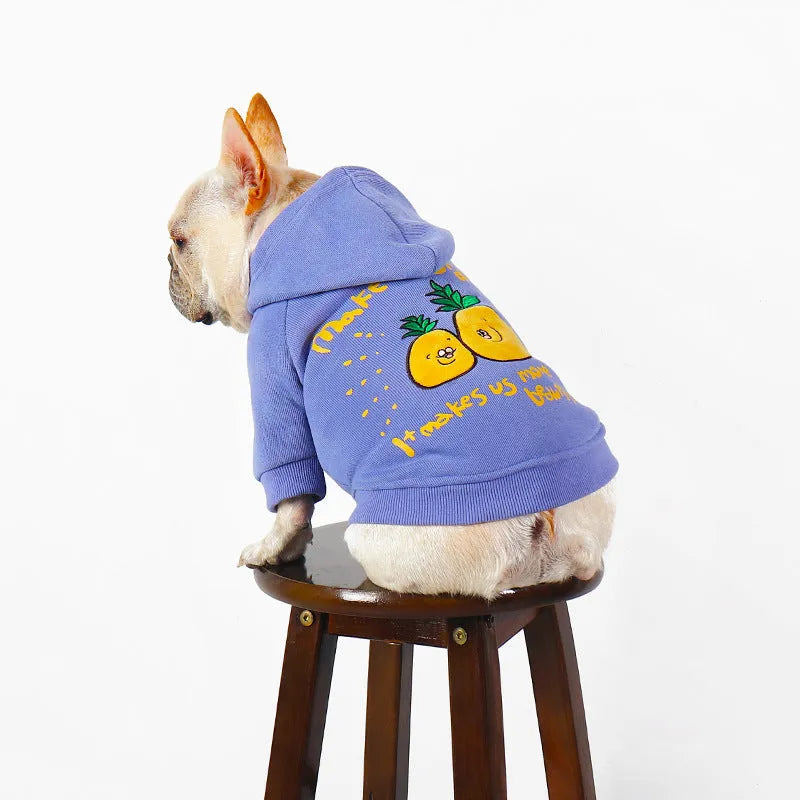 Blue and purple cartoon printed plush fleece dog hoodie with a cotton lining and a hood.