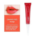 Vermilion lip gloss tube showing five colour options: pink, orange red, bright rose red, rose red, and seashell
