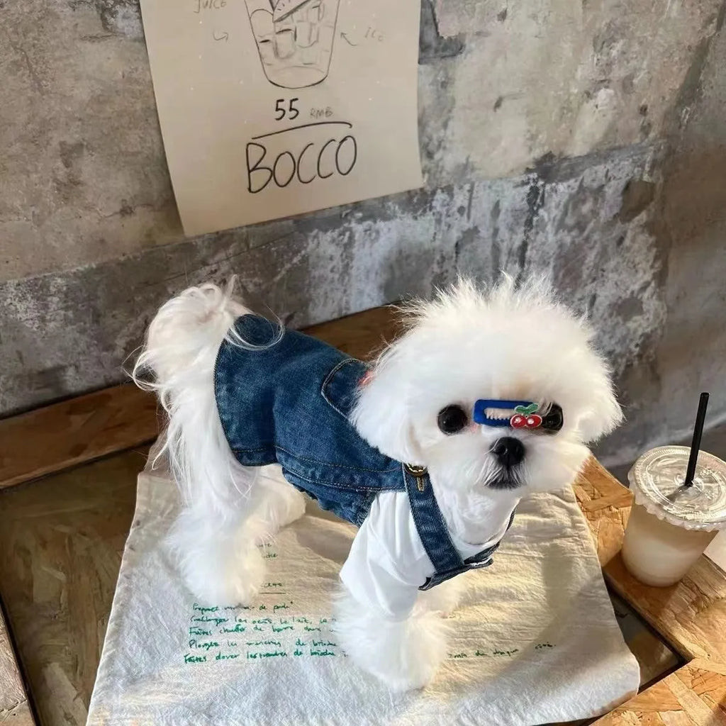 Small dog wearing a cherry dark blue denim skirt for spring summer