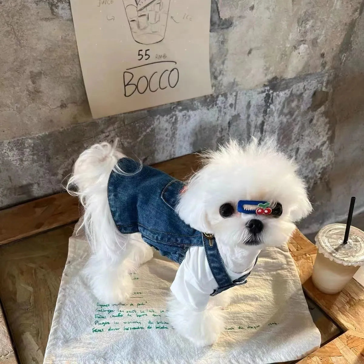 Small dog wearing a cherry dark blue denim skirt for spring summer