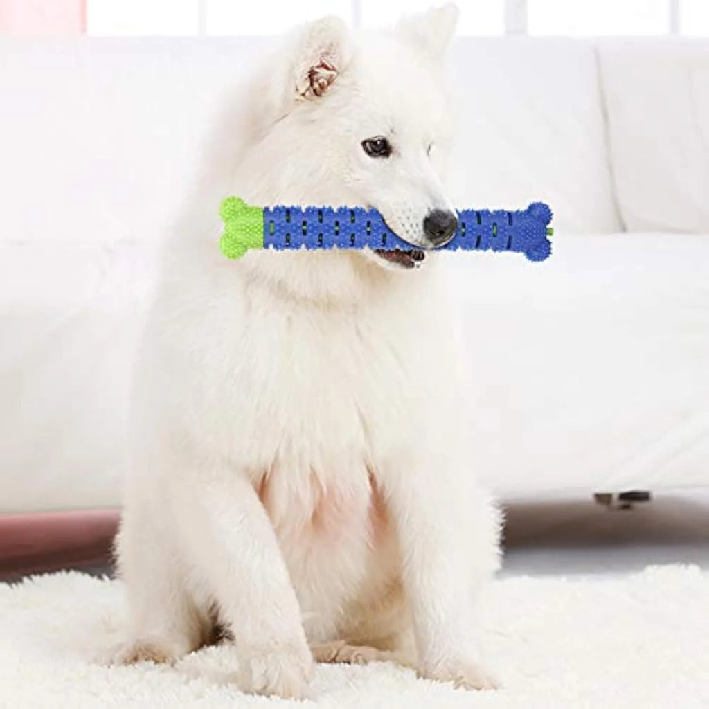 Blue and green silicone dog dental chew toy with serrated brush head and massage nodules.