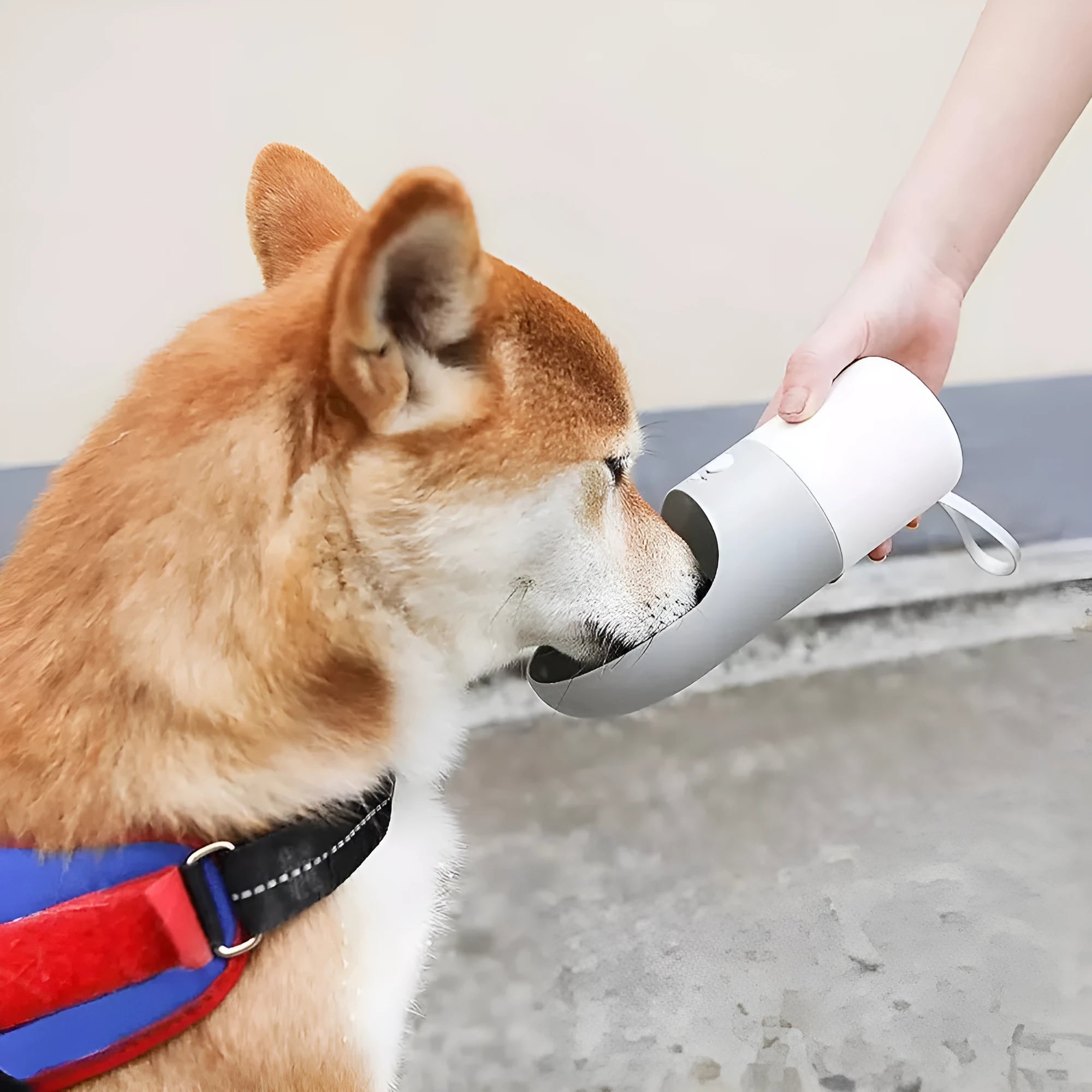 White and grey Moestar Rocket portable pet drinking cup with a one-button lock.