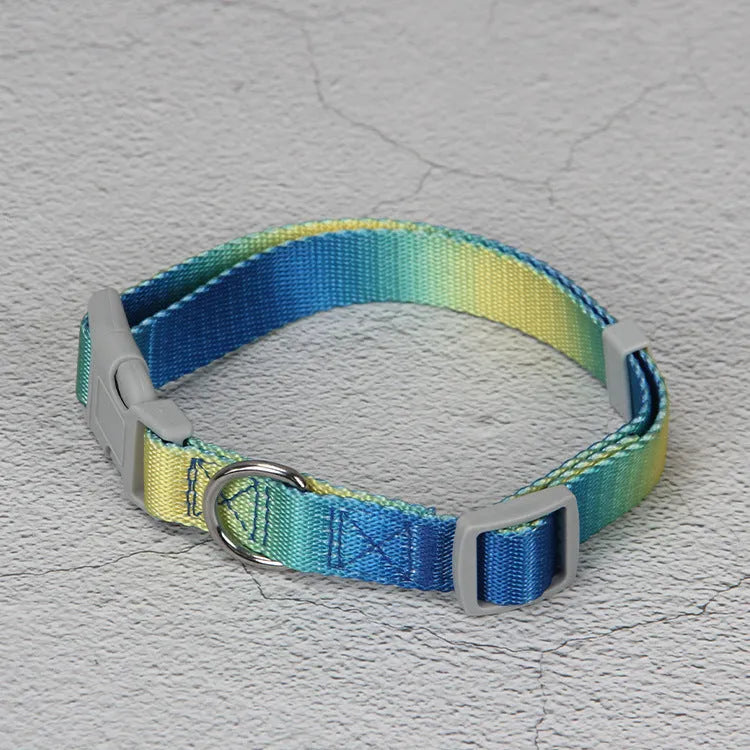 Gradient colour nylon dog leash showing pink-blue pattern with collar attachment