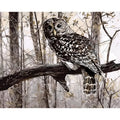 Owl painting by numbers kit showing canvas, brushes, and acrylic paints for DIY home decoration