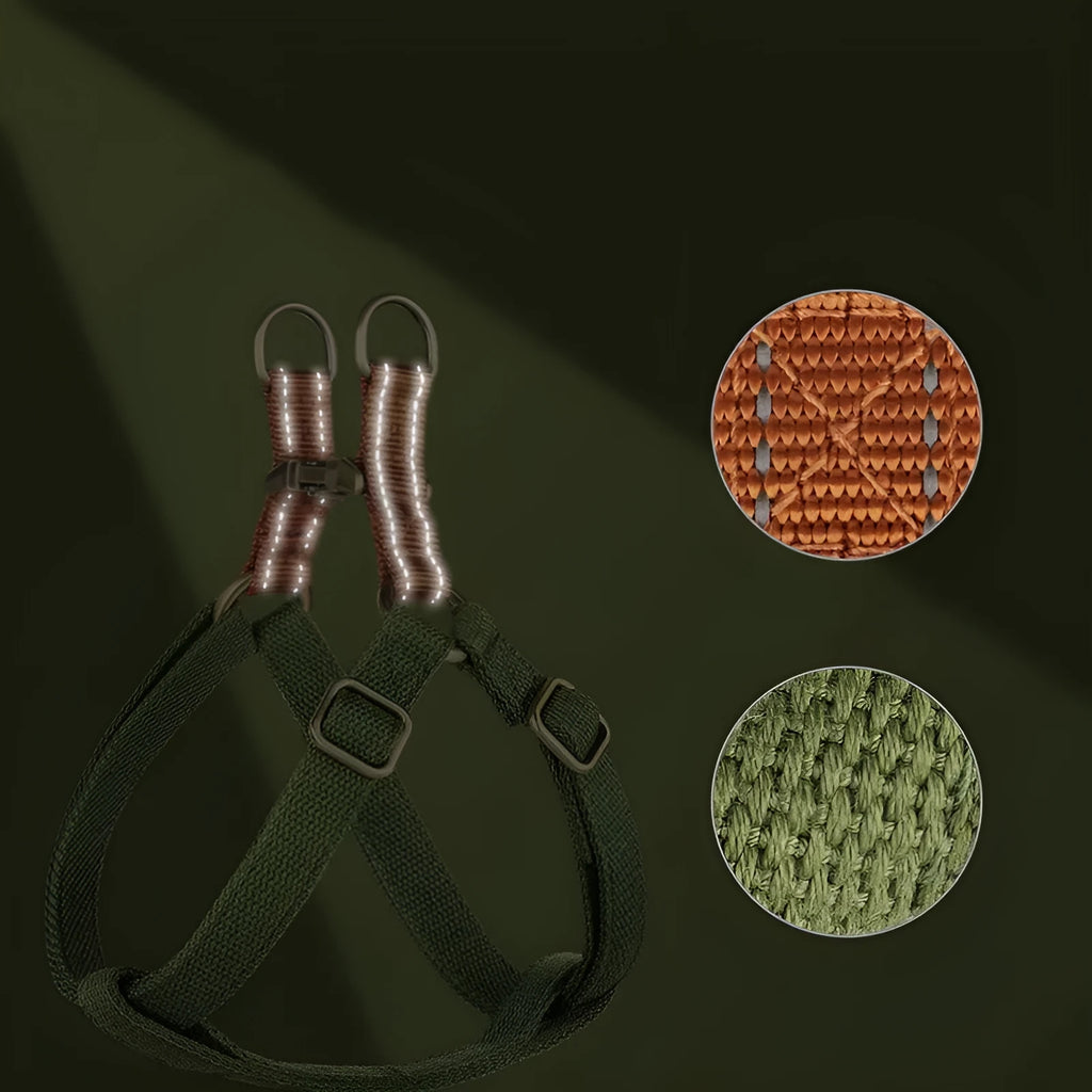 Brown vest-style dog lead with alloy fastener wrapped around a dog's torso.