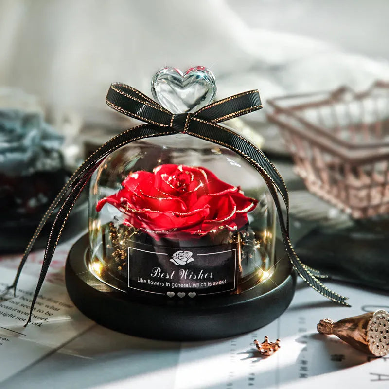 Glass dome containing a preserved red eternal rose illuminated by a soft LED light