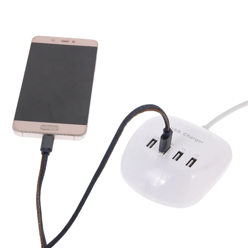 USB wall charger with EU and US plug style options for 220V mains sockets