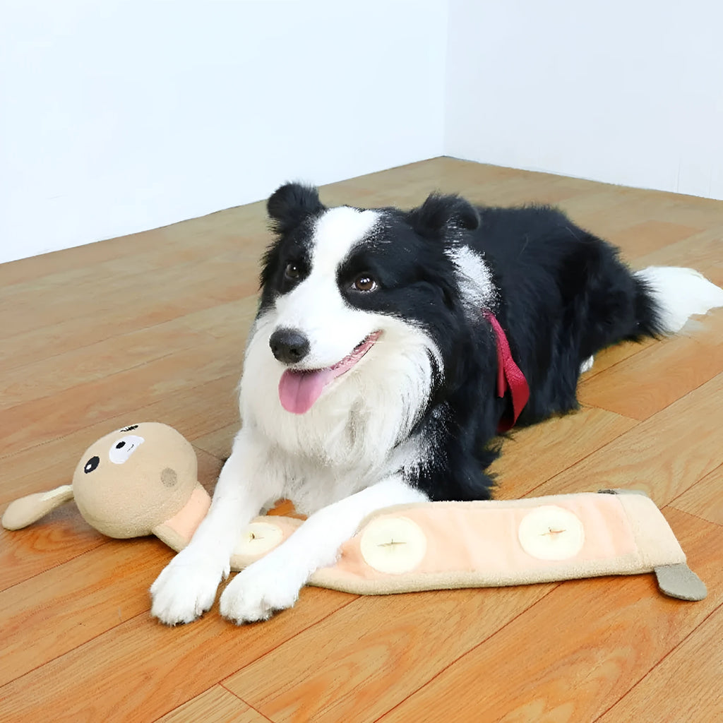 Plush dog sniff toy with poached bunny design showing food hiding compartments and sound-making features