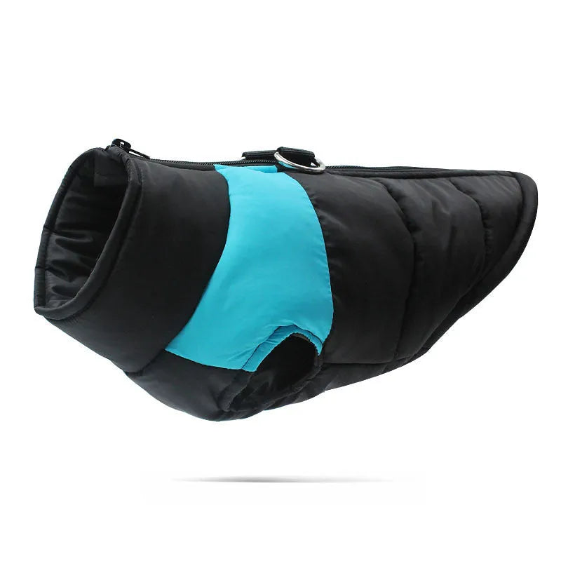 Waterproof padded dog winter coat with front zipper in multiple colours for small to large dogs