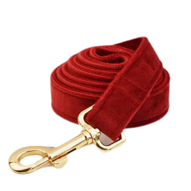 Coordinated dog collar and leash set with matching bow tie, vest, and decorative flower accessory