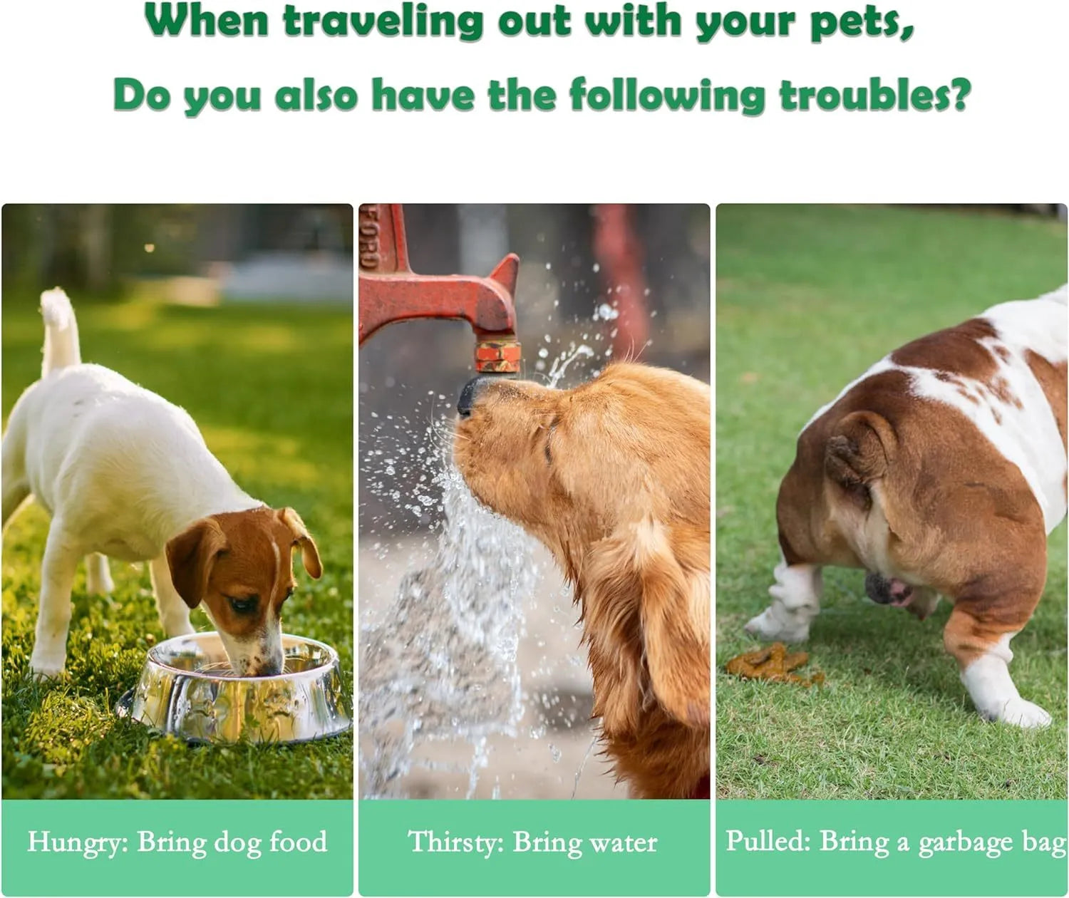 Green 3-in-1 portable pet water bottle with bowl, food container, and bag dispenser attached to a strap.