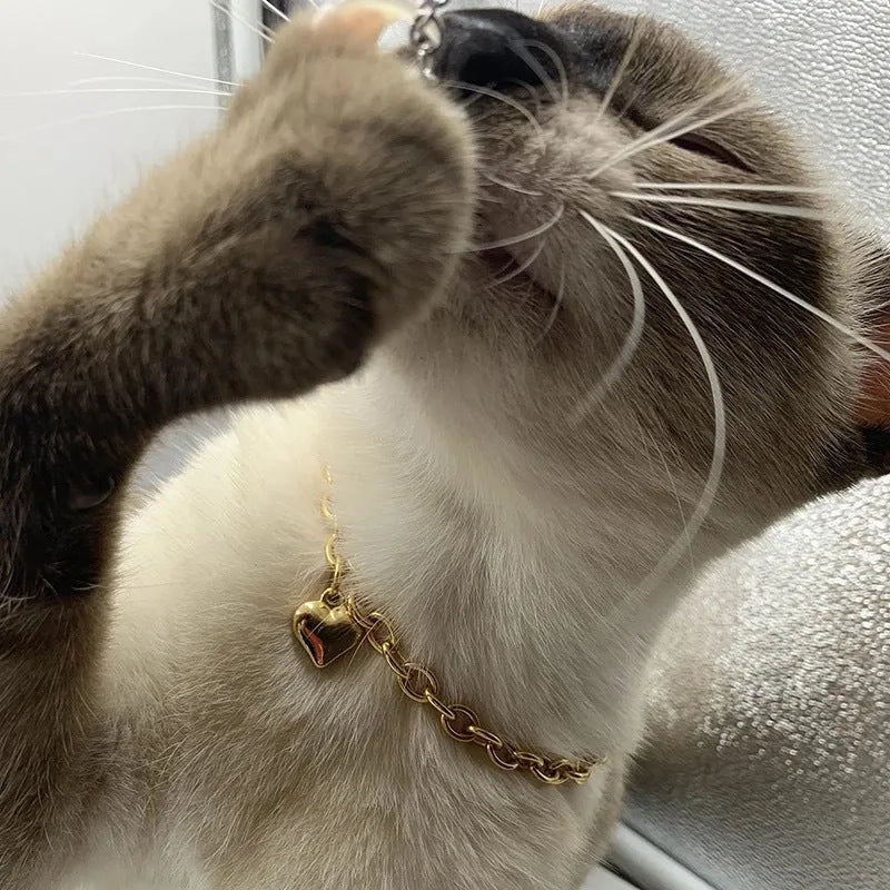 Stainless steel pet necklace with heart pendant showing cat and dog motifs on gold and silver curb chains
