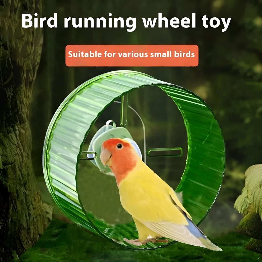A plastic parrot running wheel toy for bird cages, shown in a transparent colour option.