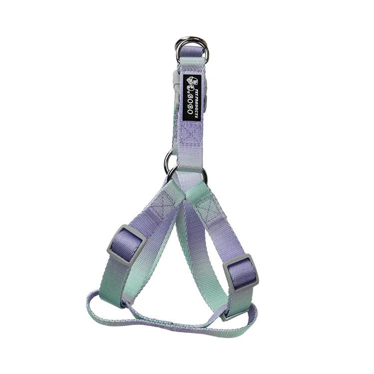 Gradient colour nylon dog leash showing pink-blue pattern with collar attachment
