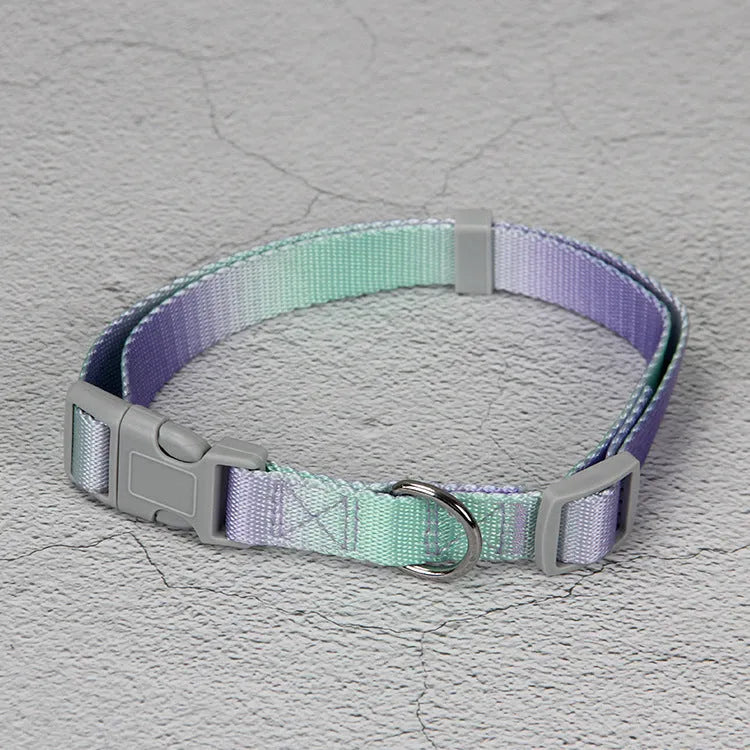 Gradient colour nylon dog leash showing pink-blue pattern with collar attachment