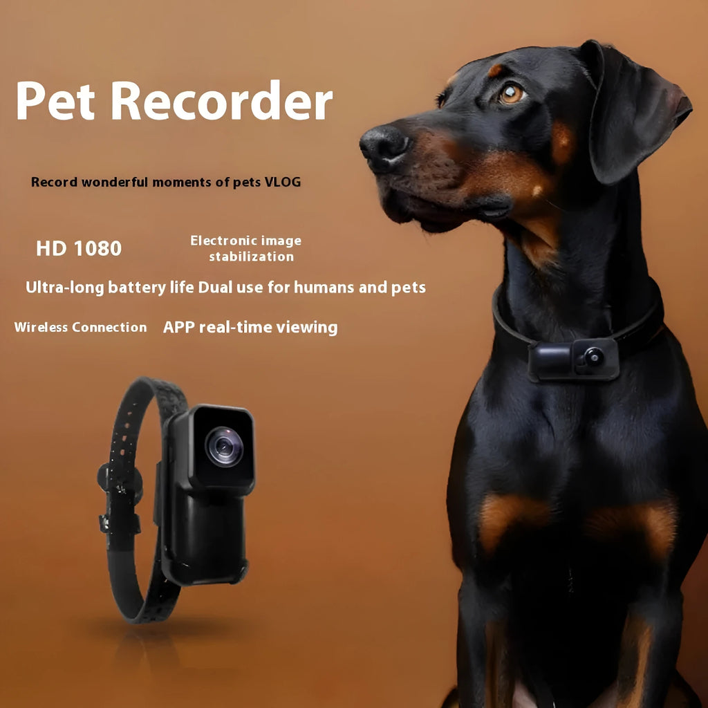 Black wifi camera neckband recorder showing device on a strap with TYPE-C port and lens visible.