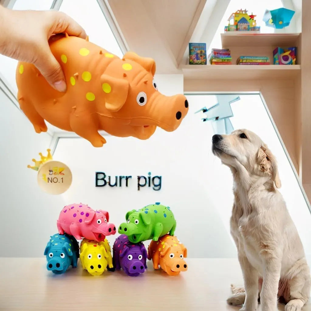 Blue latex squeaky pig dog chew toy with textured surface for teeth cleaning, shown next to tape measure showing 20cm length