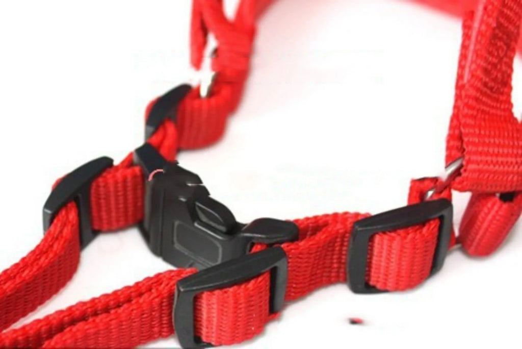 Blue pet harness with polypropylene foam lining and nylon construction shown on dog model