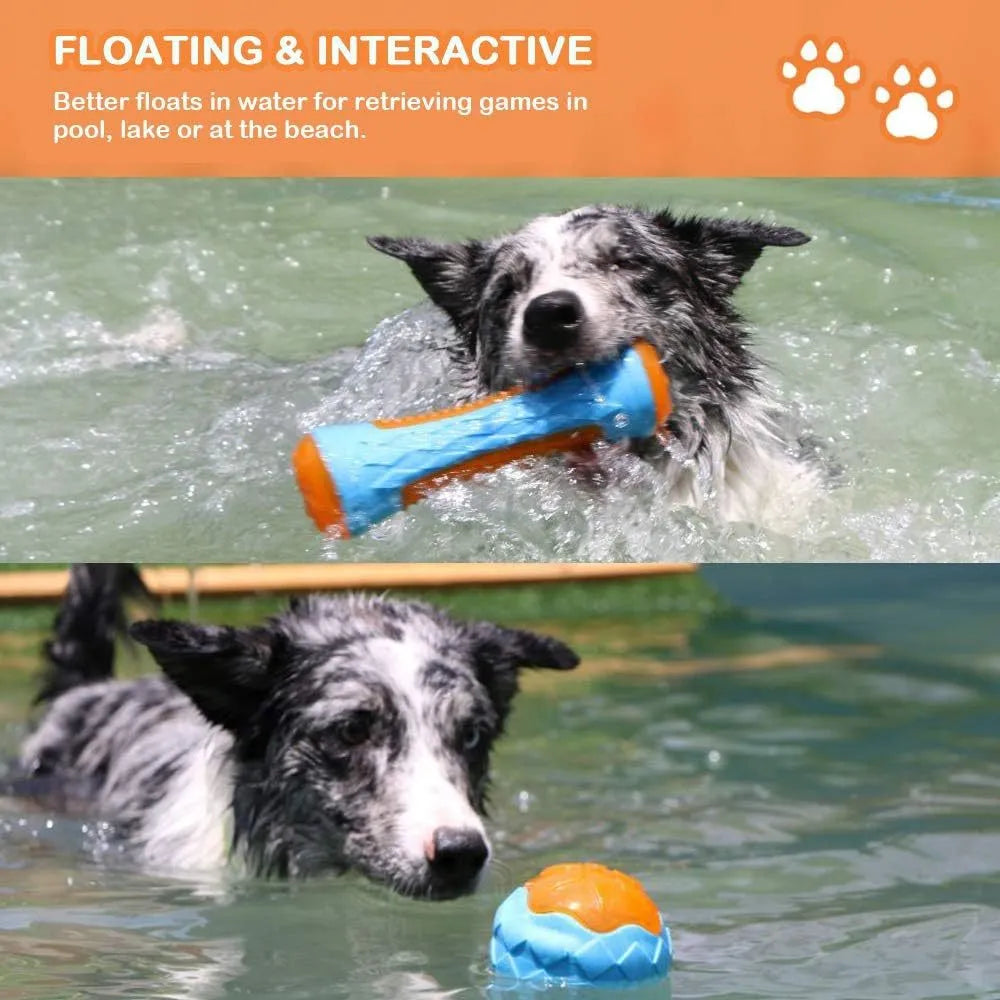 Set of four squeaky dog toys: a blue ball, a red barbell, and two orange tyres, shown on grass.
